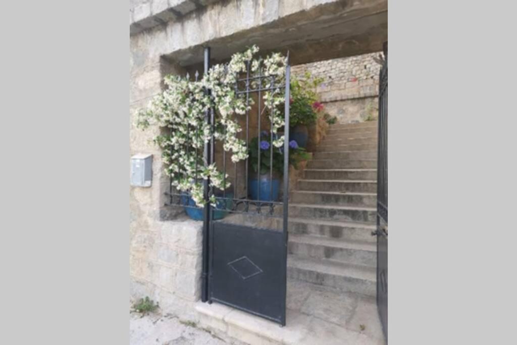 Appartement De Charme A Olmeto Olmeto  Exterior photo